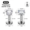 2/10PCS G23 Titanium Piercing Jewelry Ear Cartilage Tragus Heart Flat Back Stud Earrings 16G CZ Internal Thread Labret Lip Ring - Image 6