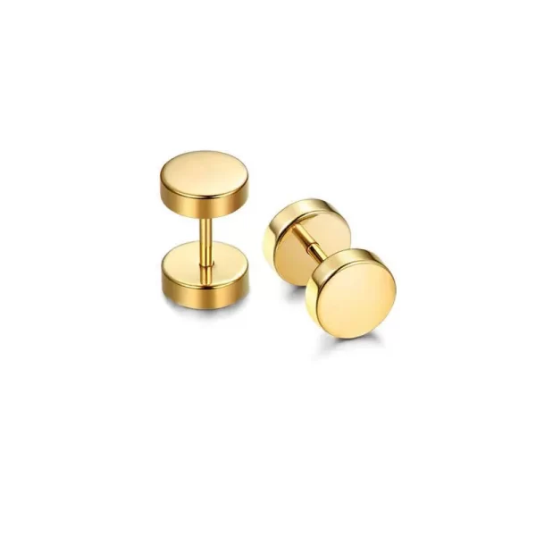 19 Pairs Stainless Steel Men Earrings Studs Ear Piercing Plugs Tunnel Screw Fake Gauges Earrings Flat Back Stud Earring Set - Image 25