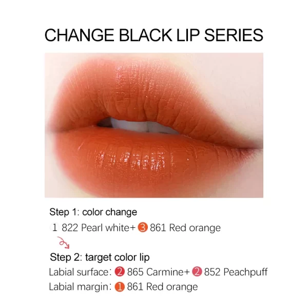 Tattoo Ink MakeUp Sets Nano Pigment Milkly Colors For Semi Permanent Tint Art Eyebrow Eyeliner Lips Beauty Microblading Pigments - Image 15