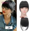 HUAYA Synthetic Hair Bangs Clips Front Side Long Bangs Fake Fringe Clip In Hair Extensions Accessories for Women - Image 23