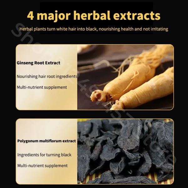 Black Ganoderma and Polygonum Multiflorum Plant Shampoo Repairs and Nourishes Damaged White Hair and Turns It Into Black Hair - Image 6