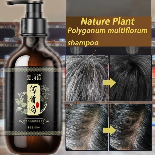 Black Ganoderma and Polygonum Multiflorum Plant Shampoo Repairs and Nourishes Damaged White Hair and Turns It Into Black Hair - Image 3