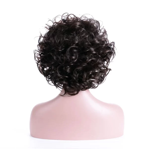 Women's Fashion Short Curly Hair Fluffy Dark Brown Synthetic Wavy Bob Wig with Bangs Costume Party Wig for Lady Mommy Hair - Image 4