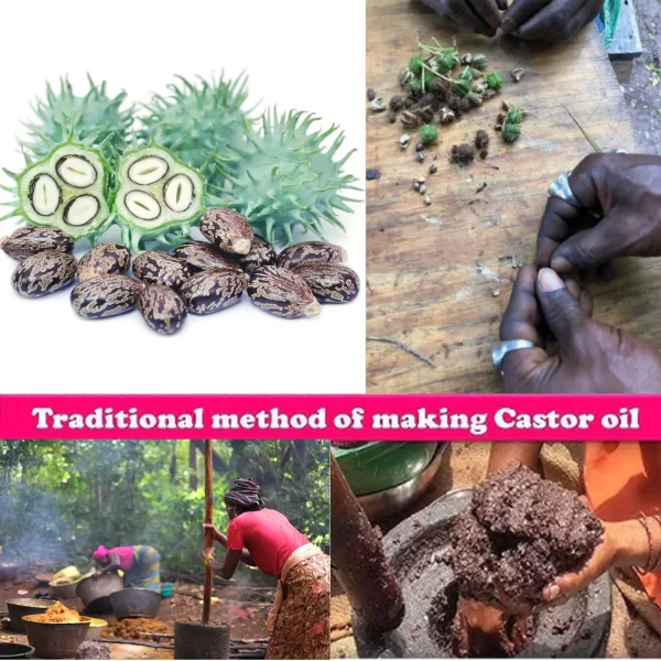 One Touch to Gorgeous with African Rosemary Hot Oil Made by Ancient Methods Scalp Hair Strengthening - Image 4