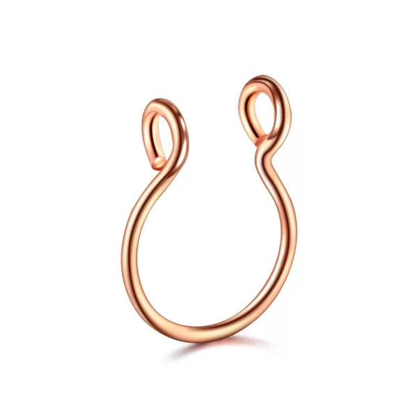 5pcs Stainless Steel Magnet Fake Nose Ring Hoop Fake Piercing Hoop Septum Rings For Women Fashion Gothic Rock Body Jewelry Gifts - Image 24