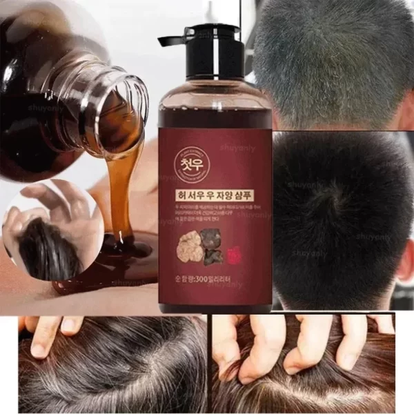 300ml Herbal Natural Polygonum Multiflorum Shampoo Plant Liquid Grey White Hair Removal Turn Permanent Black Hair Growth Care - Image 2