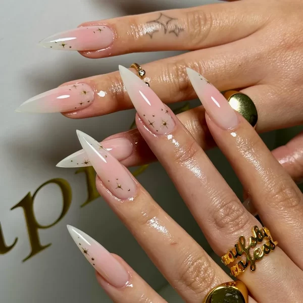 Wine Red Fake Nail Tips Long Pointed Head Glossy Press on Nails Wearable Full Cover INS Gradient Color False Nail Tips 24pcs - Image 16