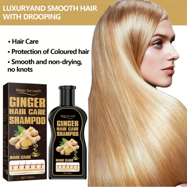 Ginger shampoo black shampoo hair dye black color permanent genuine harmless natural plant non-irritating - Image 3