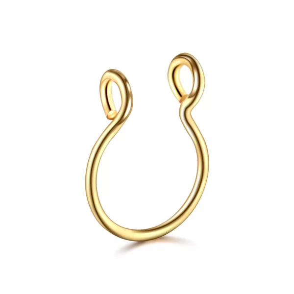 5pcs Stainless Steel Magnet Fake Nose Ring Hoop Fake Piercing Hoop Septum Rings For Women Fashion Gothic Rock Body Jewelry Gifts - Image 15