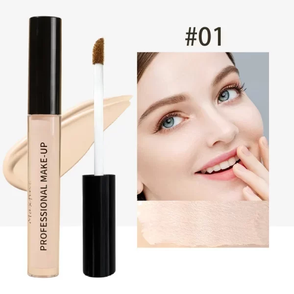 6-color Concealer Long Lasting Moisturizing Oil Control High Coverage Foundation Natural Makeup Liquid Matte Contour Highlighter - Image 10
