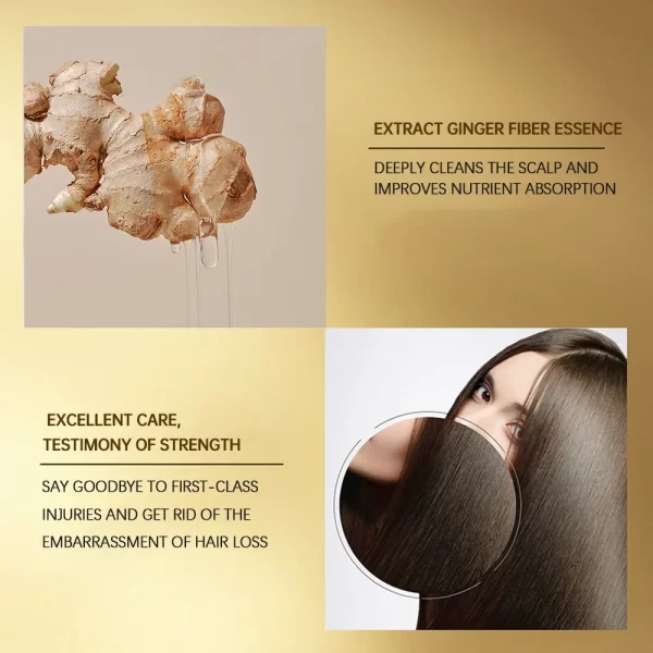 Silky Supple Shampoo Hair Oil Ginger Essence Natural Extract Smooth Mild Formula Itch Protect Moisturizes Nourishes Clears 500ml - Image 5