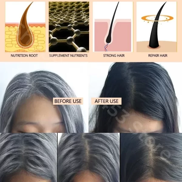 Black Ganoderma and Polygonum Multiflorum Plant Shampoo Repairs and Nourishes Damaged White Hair and Turns It Into Black Hair - Image 4