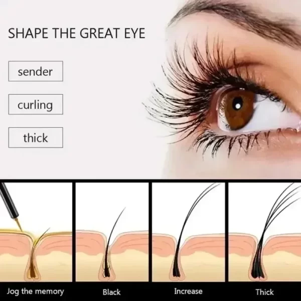 7 Days Fast Eyelash Growth Serum Eyelash Eyebrow Growth Strong Makeup Extension Treatment Eyelash Growth Thicken Care Products - Image 3