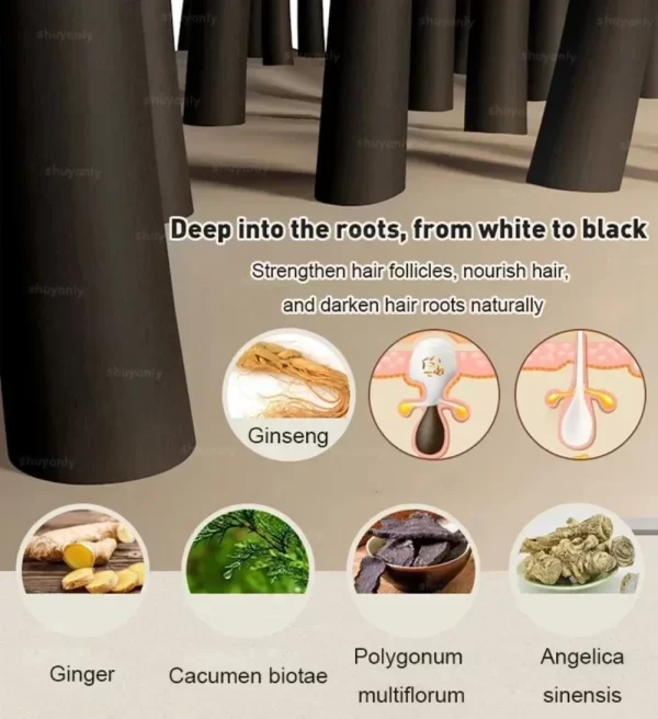 300ml Herbal Natural Polygonum Multiflorum Shampoo Plant Liquid Grey White Hair Removal Turn Permanent Black Hair Growth Care - Image 4