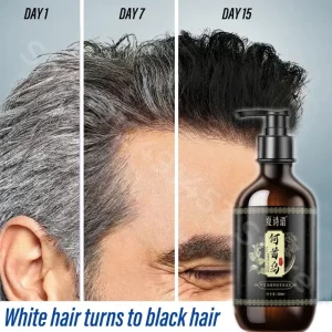 Black Ganoderma and Polygonum Multiflorum Plant Shampoo Repairs and Nourishes Damaged White Hair and Turns It Into Black Hair