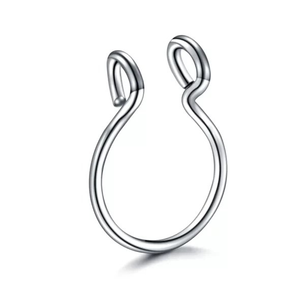 5pcs Stainless Steel Magnet Fake Nose Ring Hoop Fake Piercing Hoop Septum Rings For Women Fashion Gothic Rock Body Jewelry Gifts - Image 18
