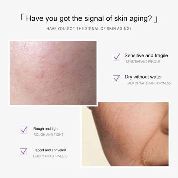 Face Serum Remove Wrinkles Pro-Xylane Anti Aging Anti-Wrinkle Set Lifting Firming Whitening Brighten Korean Skin Care - Image 5