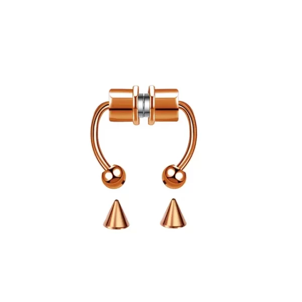5pcs Stainless Steel Magnet Fake Nose Ring Hoop Fake Piercing Hoop Septum Rings For Women Fashion Gothic Rock Body Jewelry Gifts - Image 20